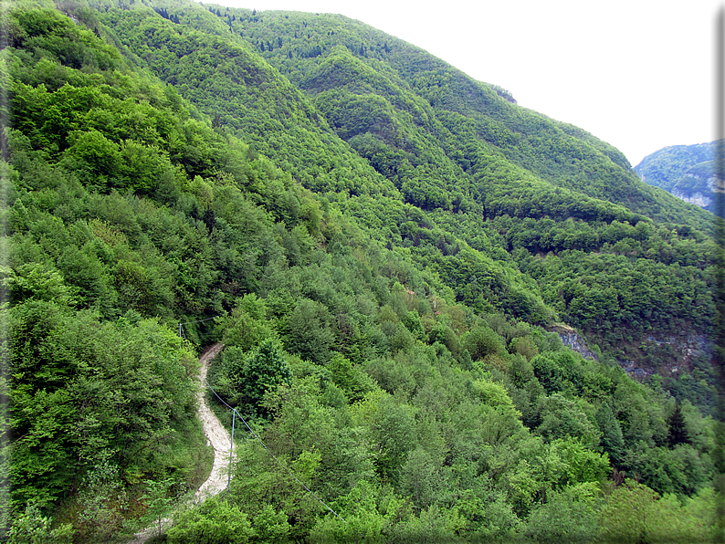 foto Passeggiata Rocca - Zanetti - Corlo